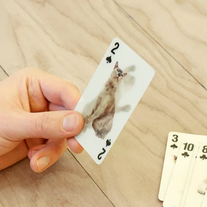 3-D Cat Cards