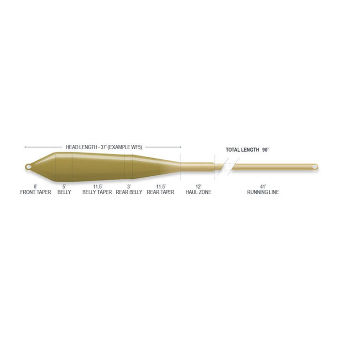Airflo Superflo Power Taper fly line - detail view
