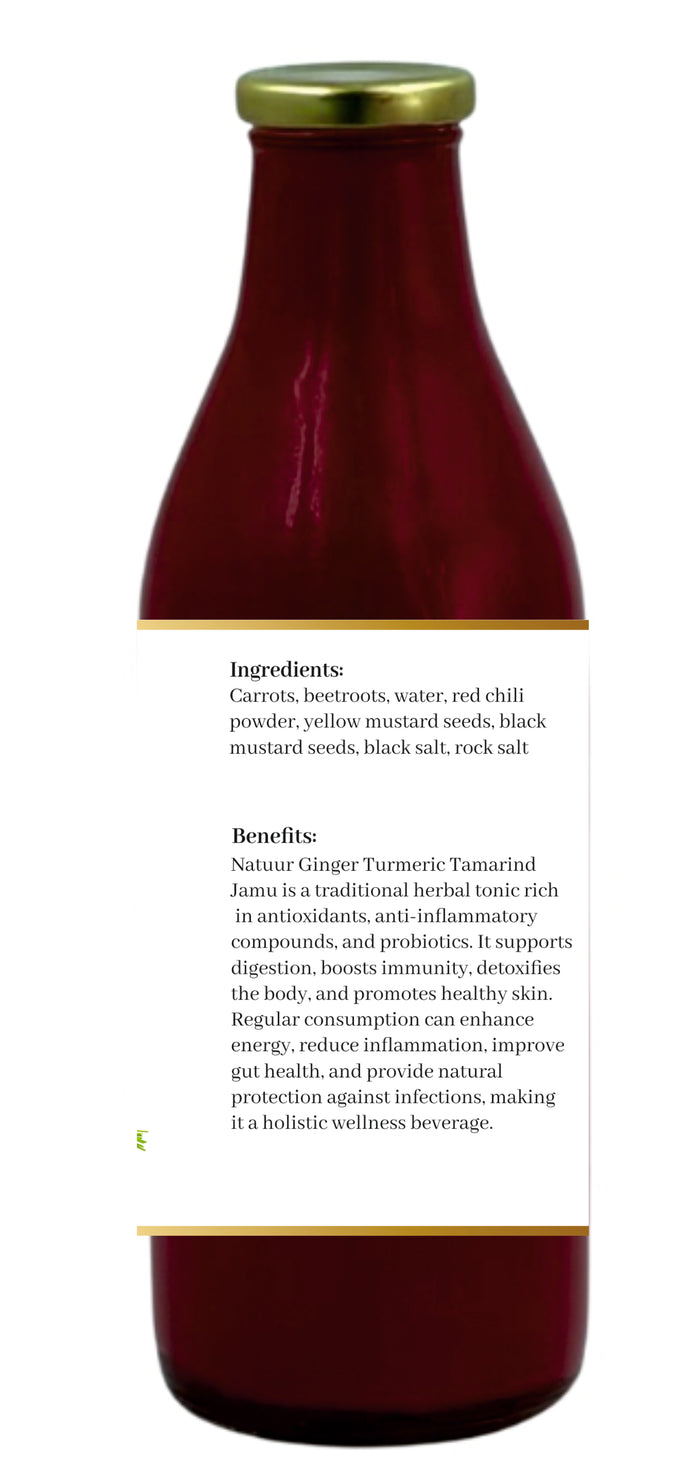 FERMENT | Fresh Kanji Drink | Beetroot | Carrot | Mustard | Refreshing | Balancing | Gut friendly