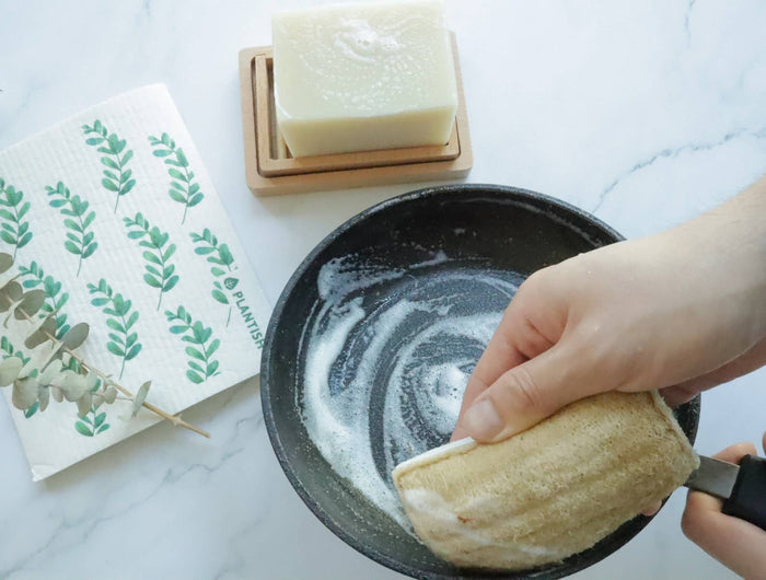 Plantish - Eco Sponge