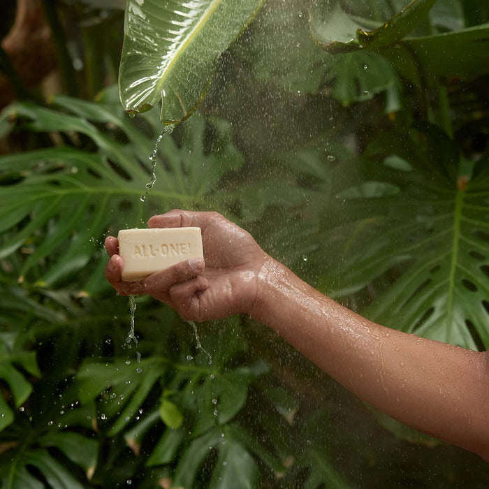 Hand holding a bar of soap labeled 'All-One' with water droplets against a green leafy background