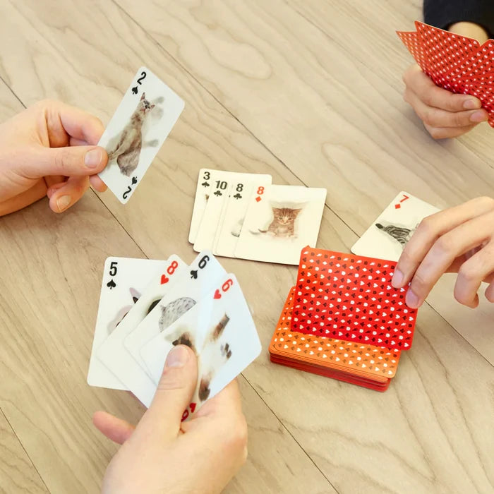 3-D Cat Cards
