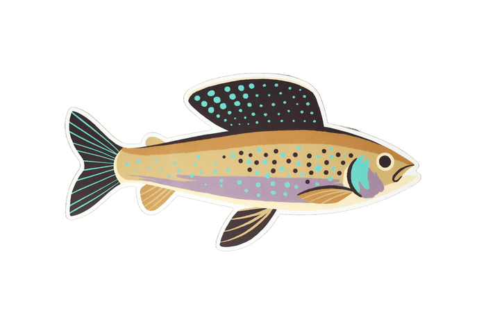 8 Pack of Trout Stickers