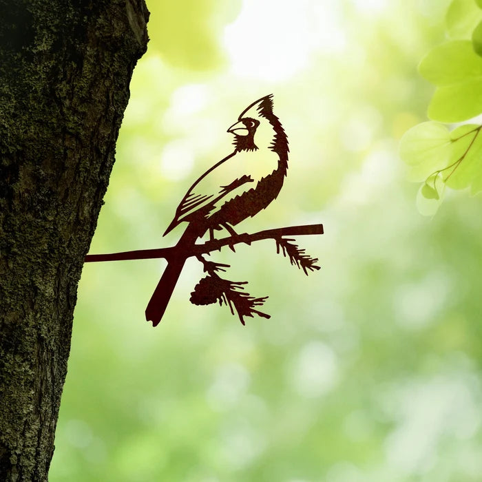 Baby Cardinal