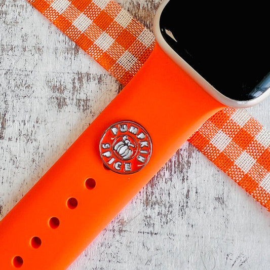 Band Charms 1pc. Spiced Pumpkin Delight