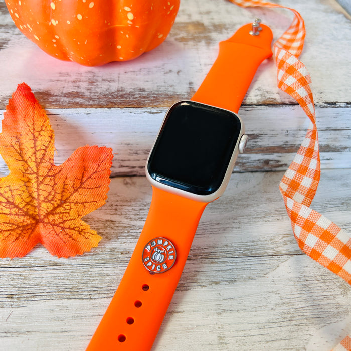 Band Charms 1pc. Spiced Pumpkin Delight