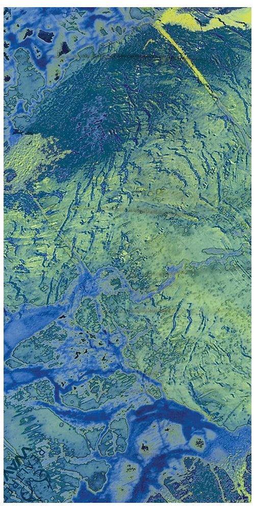 Realtree WAV3 Blue Yellow