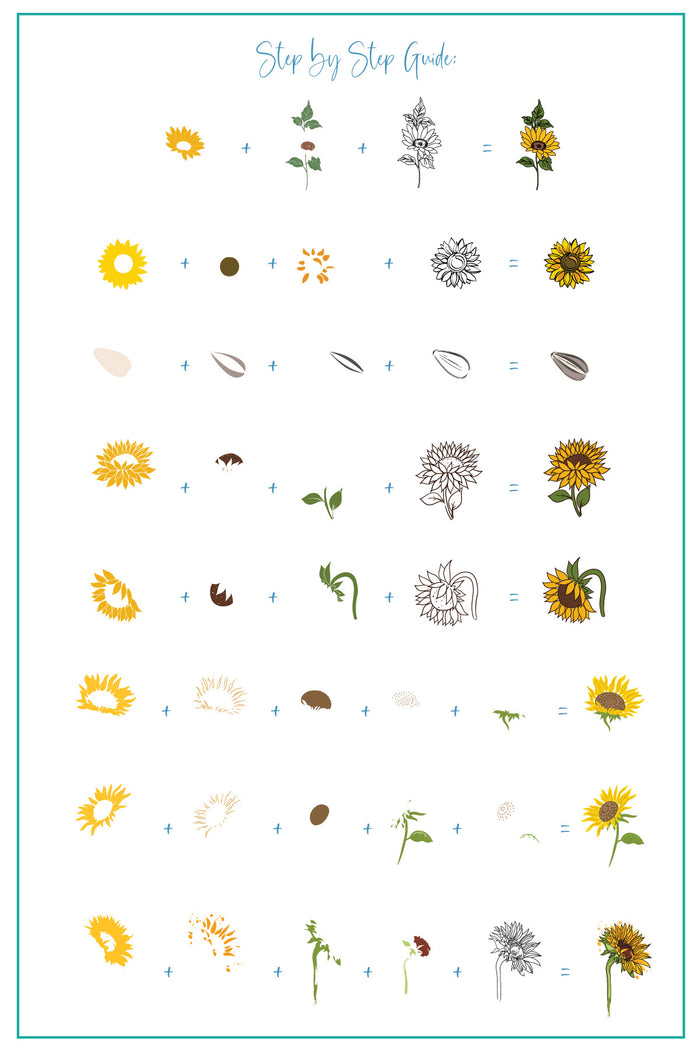 CjS-370 - Glow like a Sunflower  | Clear Jelly Stamping Plate