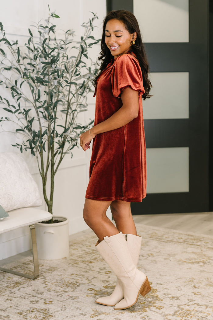 Damsel in This Velvet Dress