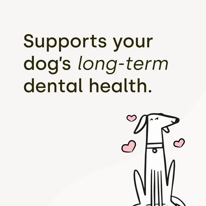 Dental Sticks