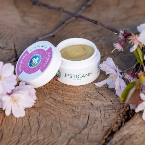 DISCONTINUED -  Lipsticann Hemp Lip Balm | Annabis