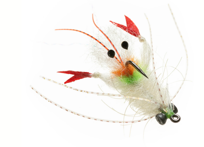 Enrico Puglisi EP Scampi 732 (3-Pack)