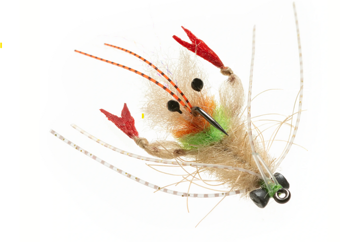 Enrico Puglisi EP Scampi 732 (3-Pack)