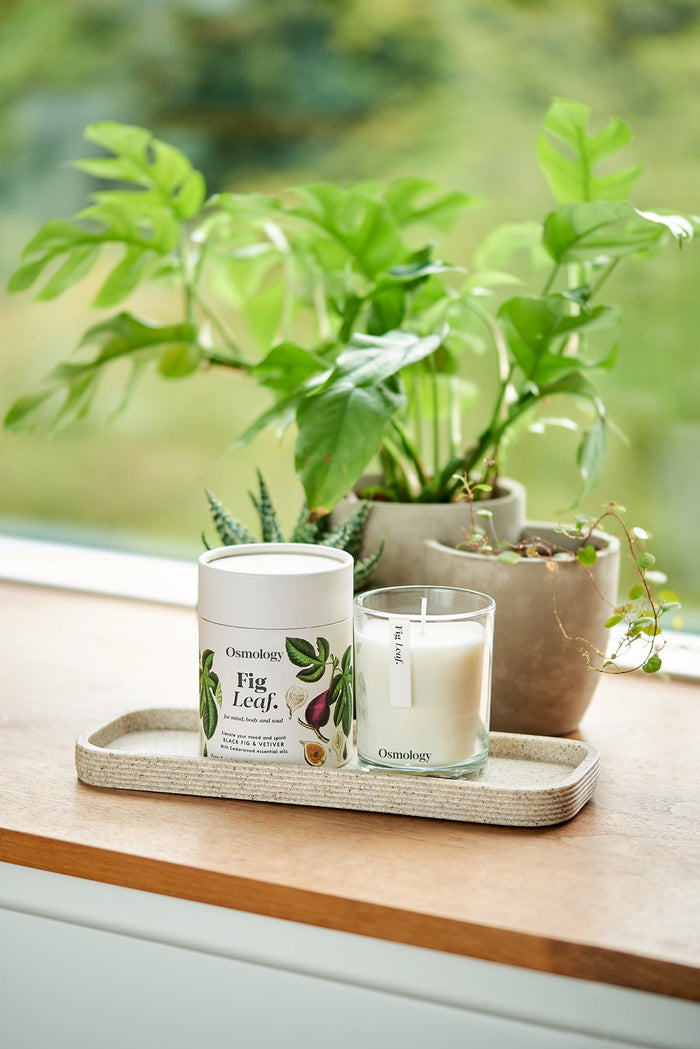 Fig Leaf Scented Candle
