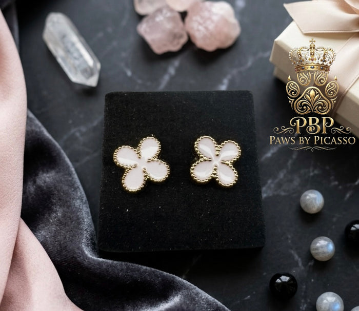 Clover-shaped earrings on a black display box with Paws by Picasso branding.