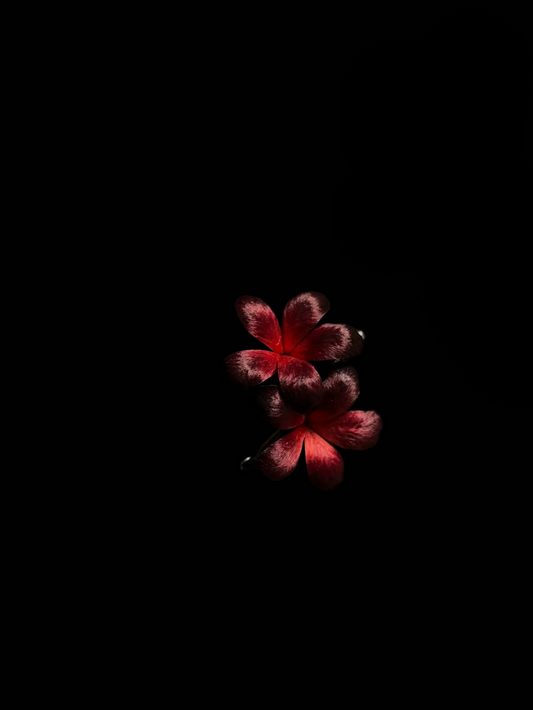 Handmade Ronghua Red-Black Double Flower Brooch | Mulberry Silk Velvet Gradient Blossom Pin