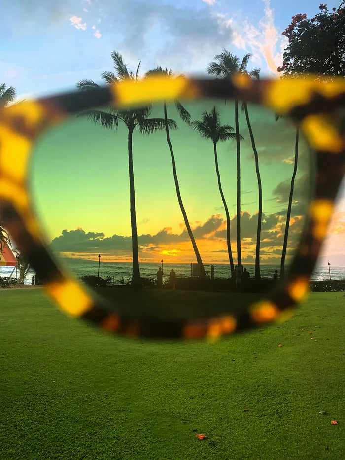 Happy Hour - Dylan Sunglasses - Tortoise Gloss / Premium Acetate