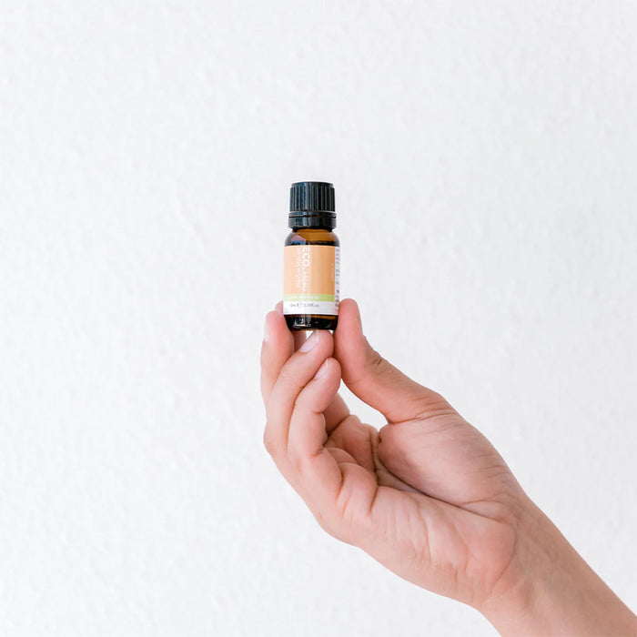 Lemon Myrtle Pure Essential Oil
