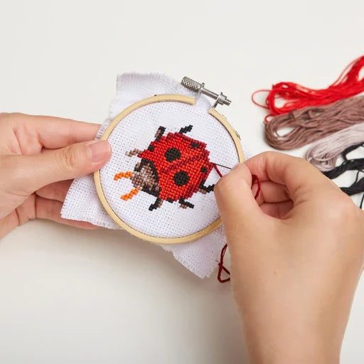 Mini Cross Stitch Embroidery Kit Lady Bug
