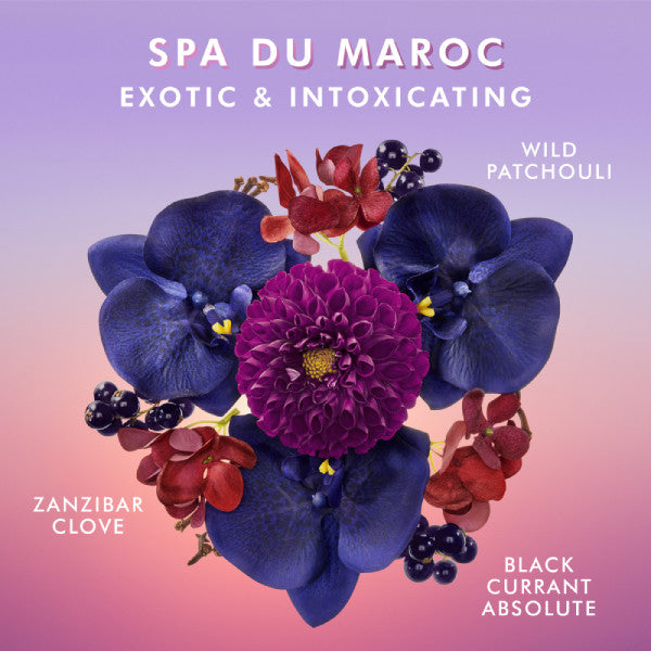 Moroccanoil Body Lotion 360ml - SPA DU MAROC