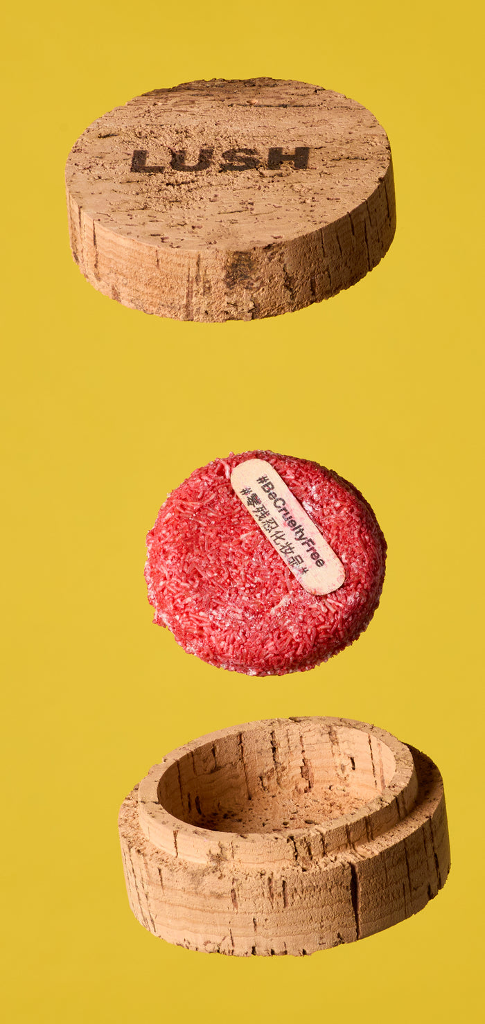 New - Solid Shampoo