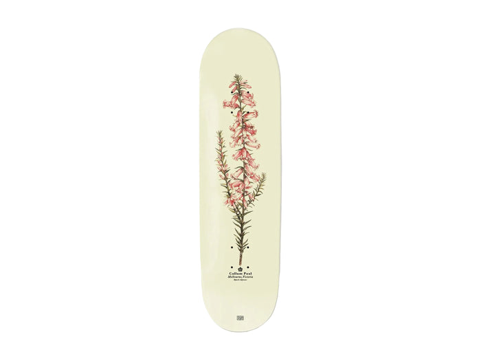 Pass-Port - Callum Paul Pink Heath Reissue Deck - 8.5"