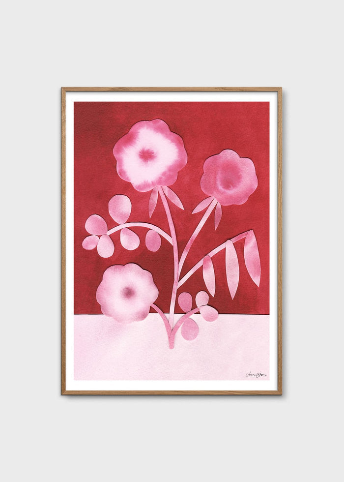 Pink Peas in Bloom by Anna Ravn Bjørn