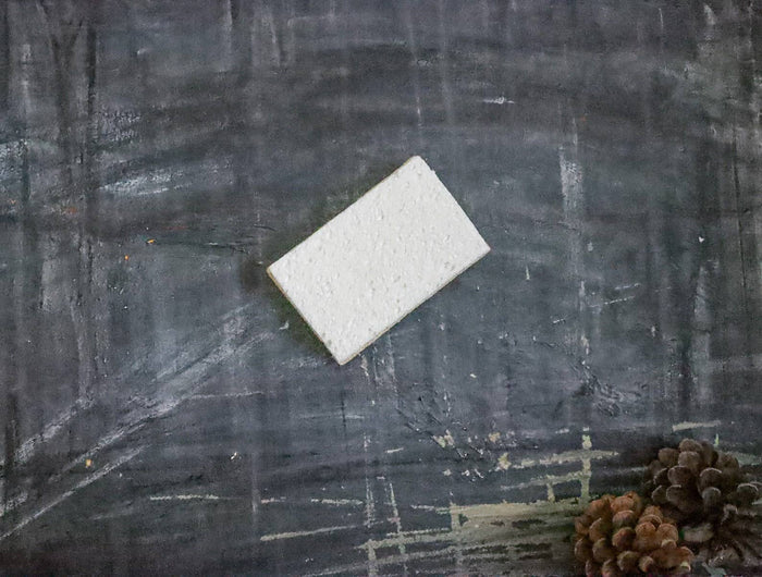 Plantish - Eco Sponge