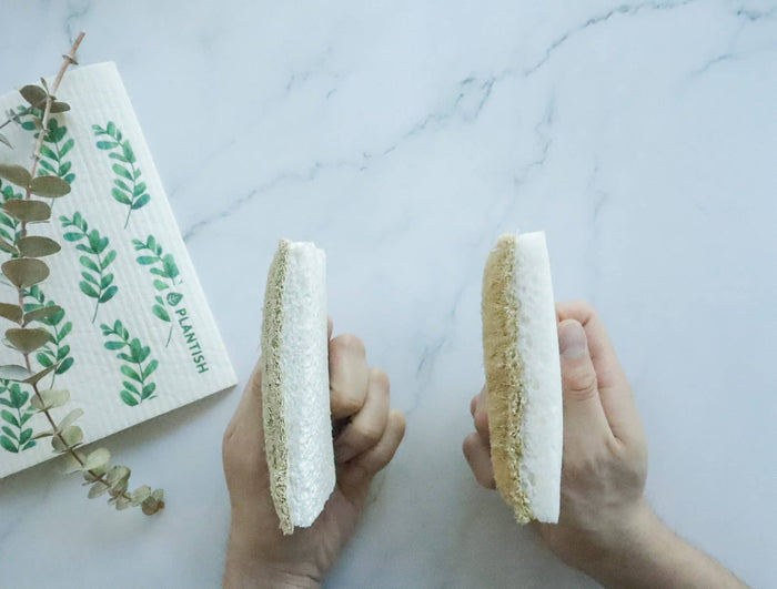 Plantish - Eco Sponge