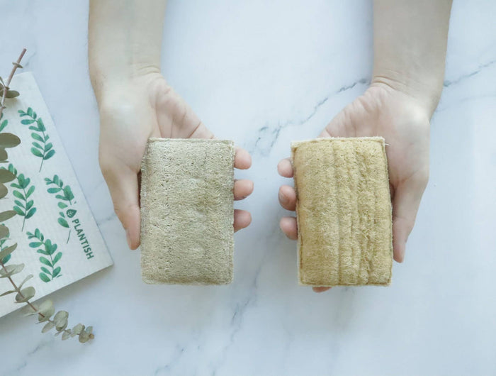 Plantish - Eco Sponge