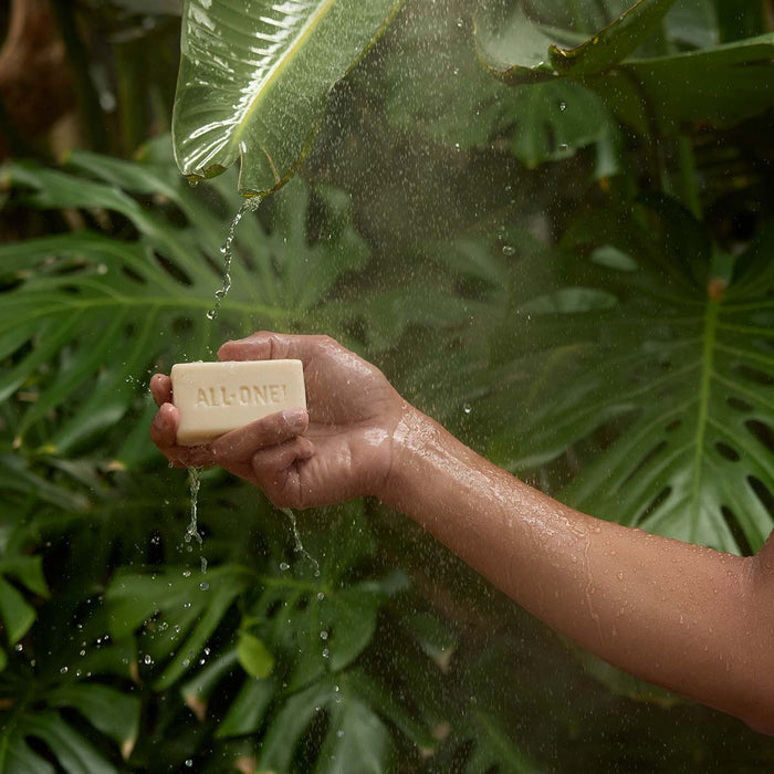Hand holding a bar of soap labeled 'ALL ONE' with water droplets against a leafy green background