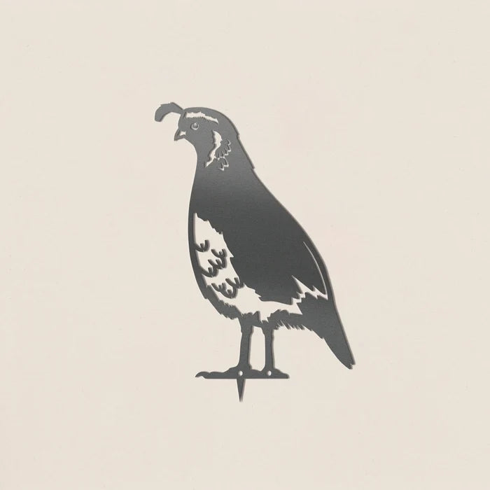 Quail