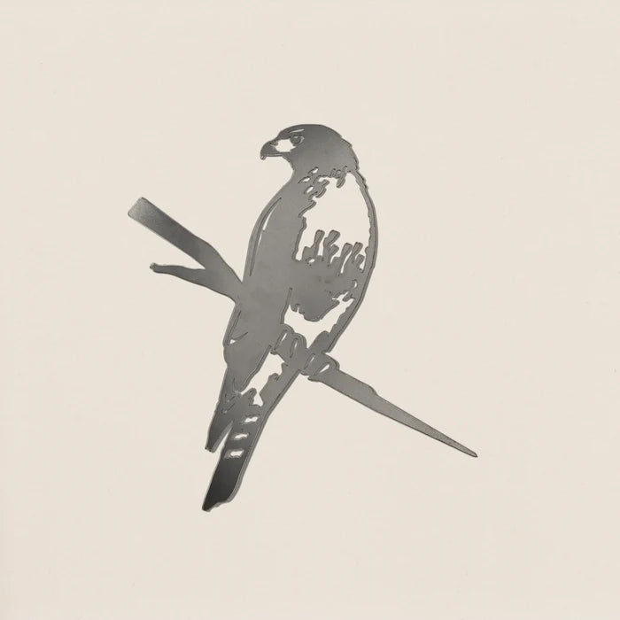 Red-Tailed Hawk