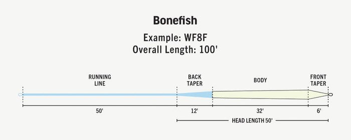 RIO Premier Bonefish saltwater fly line - detail view