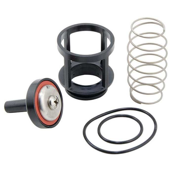 RK 919 CK2 2"  2nd Check Kit