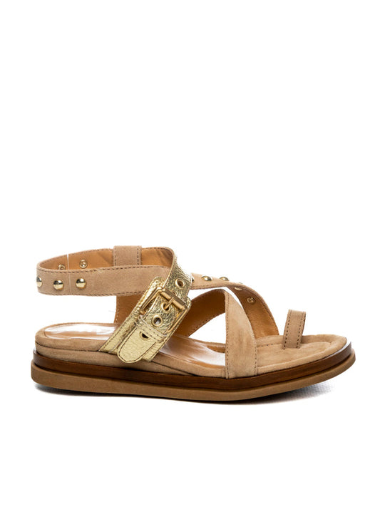 MJUS Sandalo fibbia borchie avena/champagne N14004 PELLE-0001