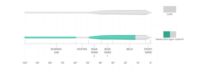 Scientific Anglers Magnitude Smooth Infinity Salt Clear Float saltwater fly line - detail view