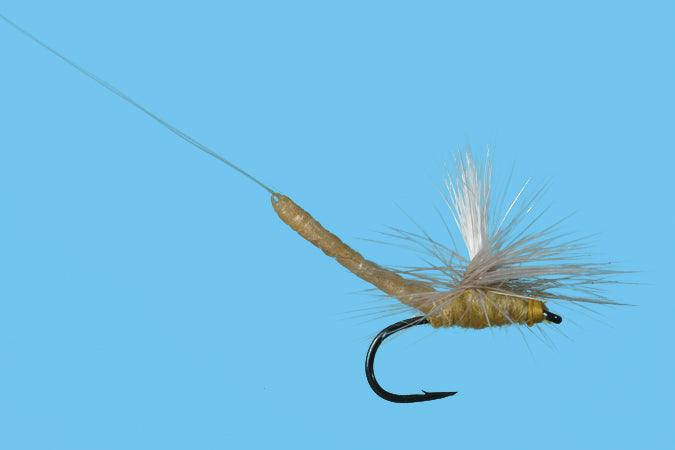 Solitude Parachute Ext Body Pmd (Pd380ex ) 6-Pack