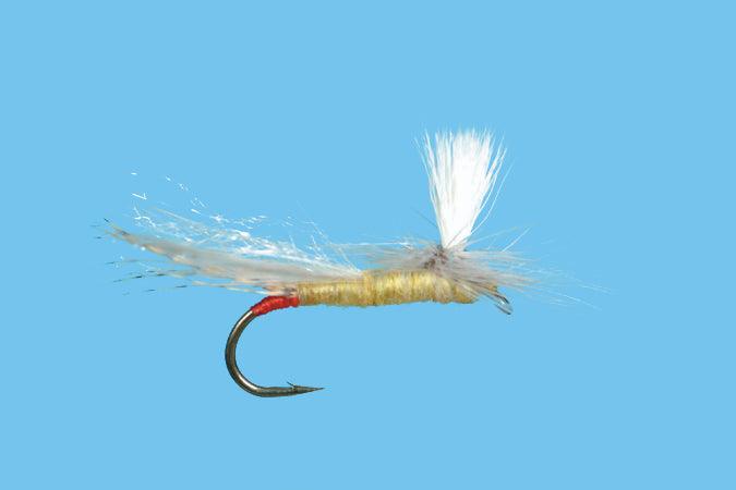 Solitude Parachute Yellow Sallie (Pd540) 6-Pack