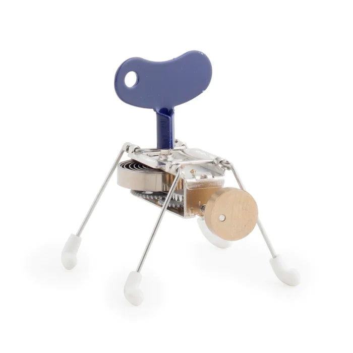 Spinney Wind Up