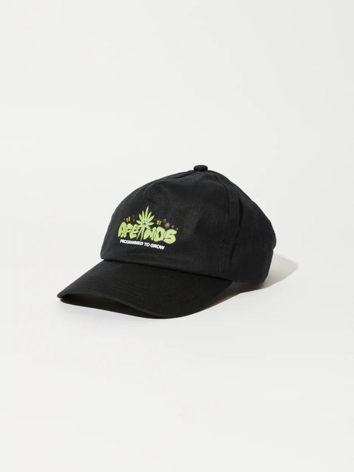 Vibrations - Hemp Cap | Black-Image 1