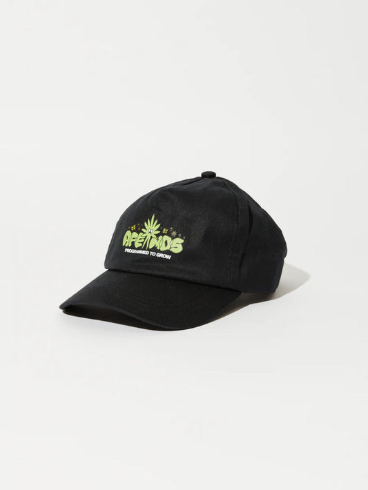 Vibrations - Hemp Cap | Black-Image 1