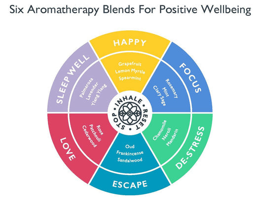 Wellbeing Ritual Aromatherapy Mini Tin | Scentered