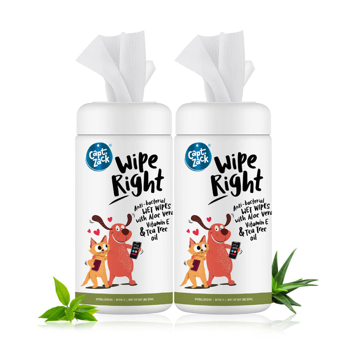 Wipe Right Anti-Bacterial Wet Wipes Pack of 2