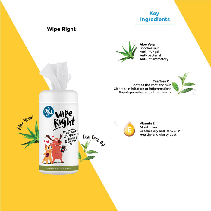 Wipe Right Anti-Bacterial Wet Wipes Pack of 2 - Captain Zack