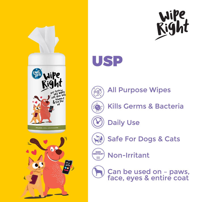Wipe Right Anti-Bacterial Wet Wipes Pack of 2 - Captain Zack
