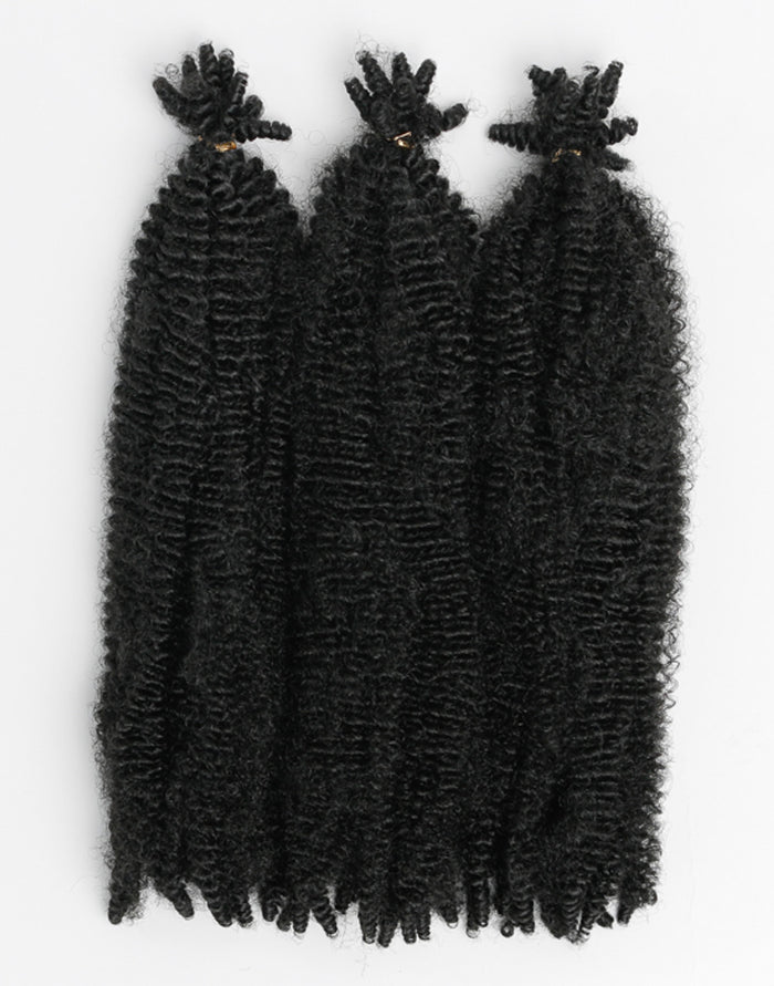 X-Pression Twisted Up Springy Afro Twist 16"