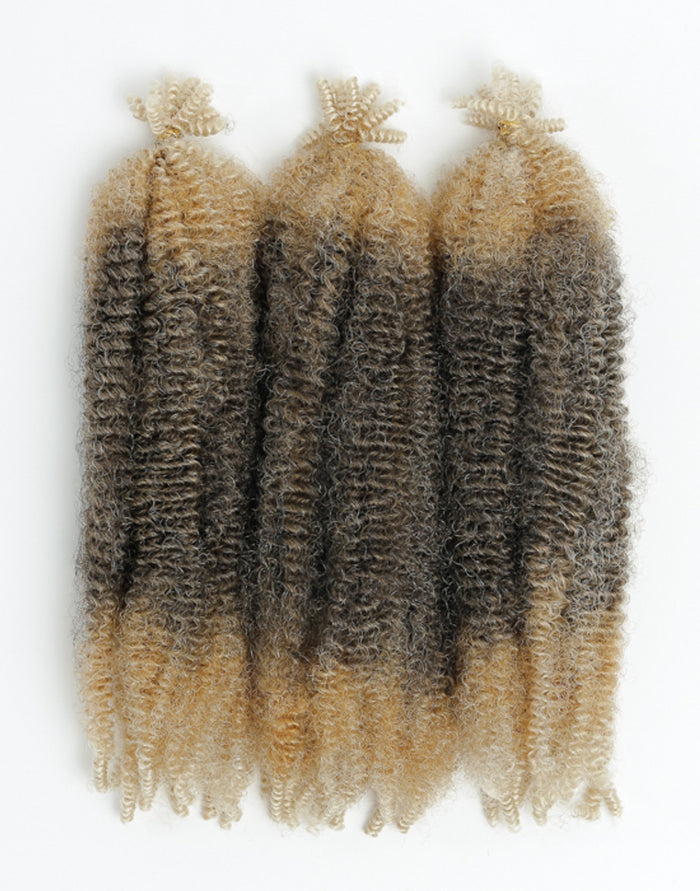 X-Pression Twisted Up Springy Afro Twist 16"